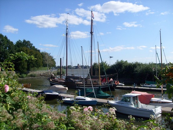 Kleiner Yachthafen, im Vordergrund Büsche, 