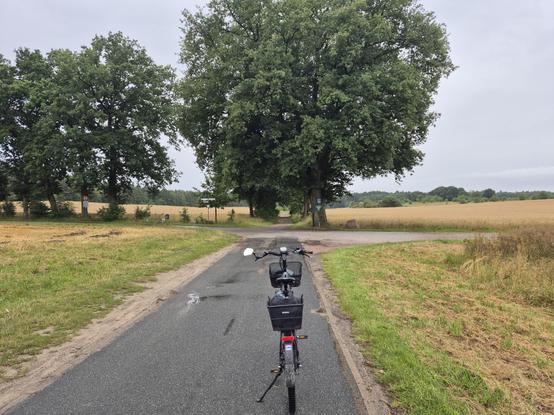 Blick einen asphaltierten Wirtschaftsweg auf dem mitten drauf ein schwarzes Pedelec steht entlang der zwischen Feldern hindurch auf die kleine Kreuzung bei Eickstüve am Kleckerwald zuführt hinter der rechts eine große prächtige alte Eiche steht neben der sich links eine Reihe von Eichen erstreckt vor großen Getreidefeldern vor einem Waldrand unter dem bedeckten Himmel.