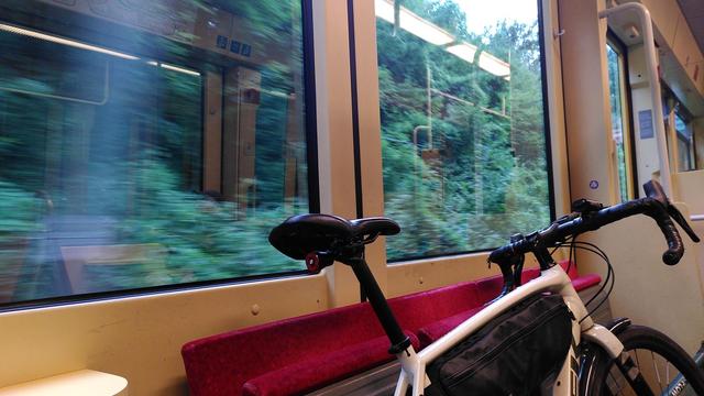Mein Fahrrad in der Karlsruher S-Bahn. Durch die Fenster sieht man dichtes Grün.