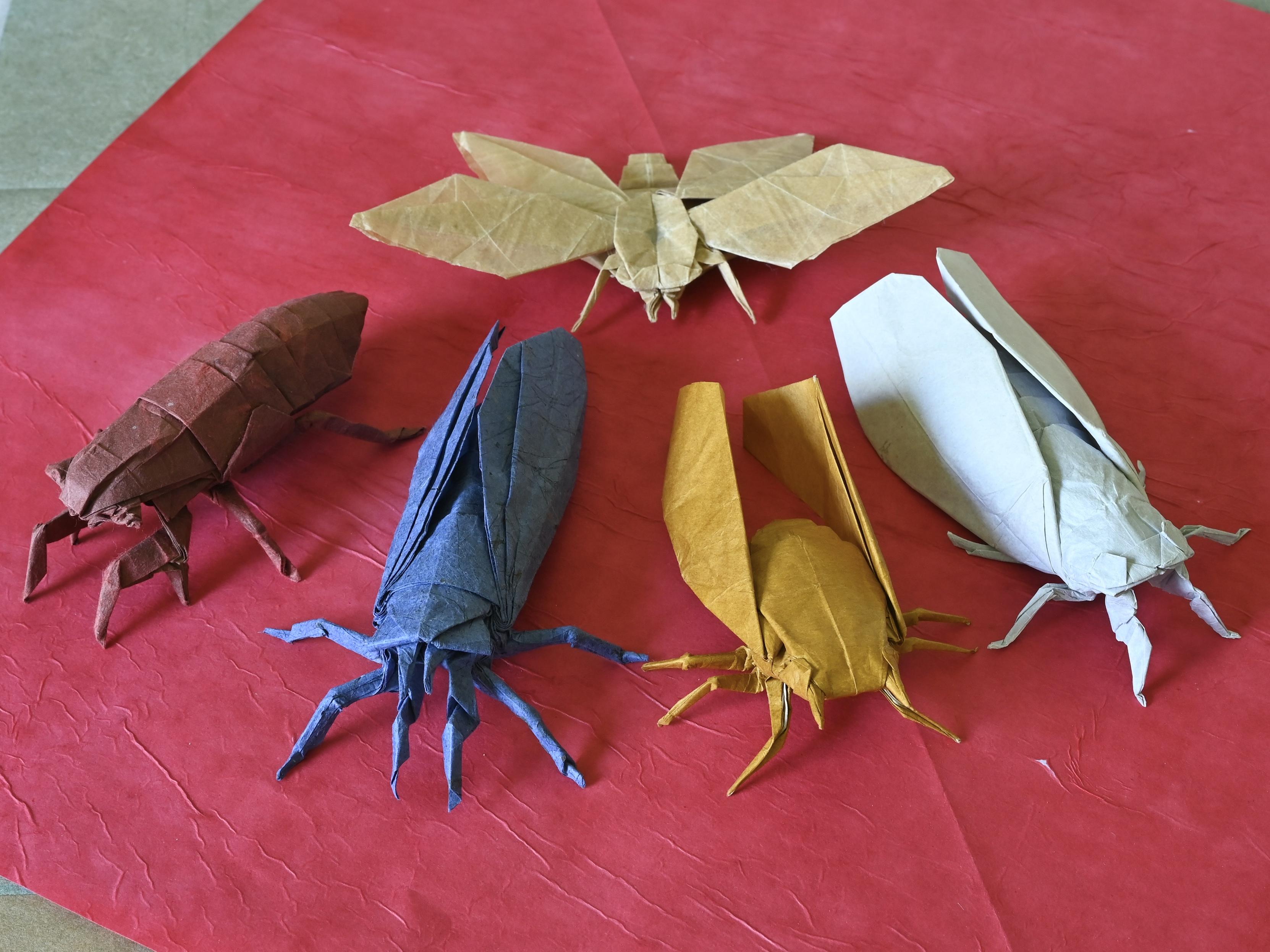 Five origami cicadas in various colors, displayed on a red paper background 