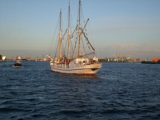Segelschiff läuft unter Motor in den Hamburger Hafen ein, von hinten gesehen. 