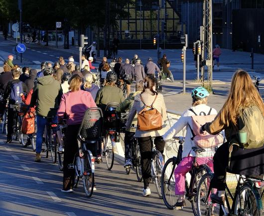 Riesengroßer Fahrradstau an einer Ampel in der Morgensonne