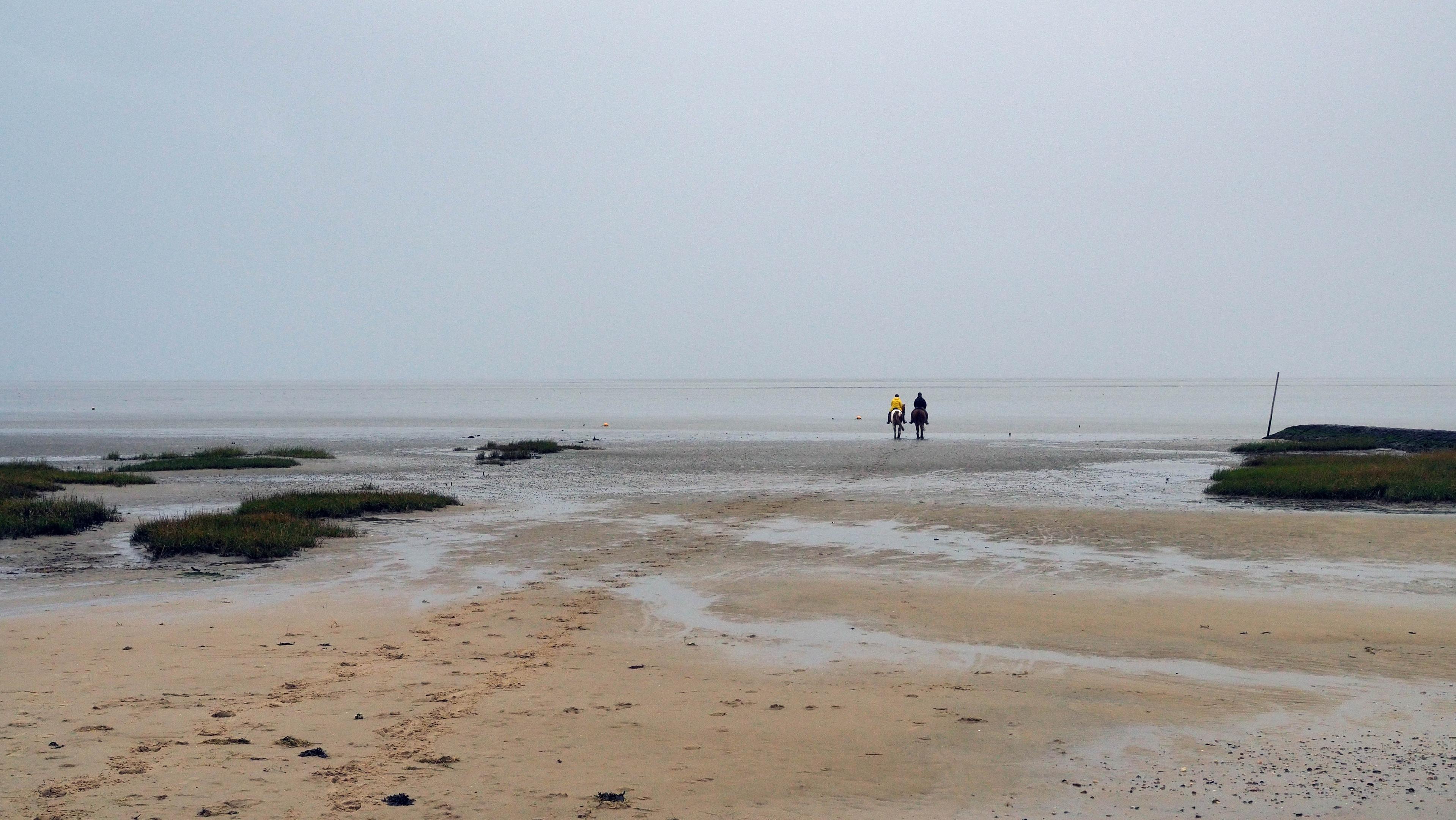 Ein grauer Tag am Wattenmeer bei Cuxhaven, der Himmel scheint nahtlos ins Meer überzugehen. Zwei Menschen auf Pferden reiten ins Nichts. Im Vordergrund gelbgrauer nasser Strand mit einigen kleinen Inseln aus Dünengras.
A grey day on the Wadden Sea near Cuxhaven, the sky seems to merge seamlessly with the sea. Two people on horses ride into nowhere. In the foreground, a yellow-grey wet beach with a few small islands of dune grass.