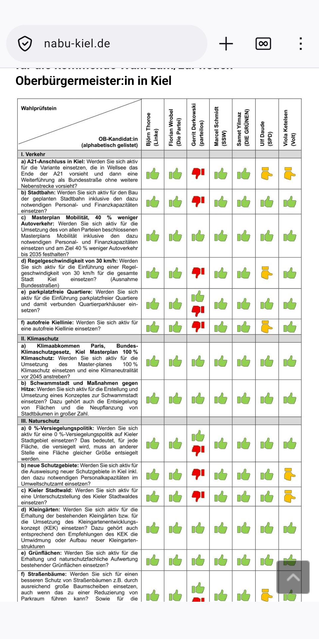 Resultate der OB Befragung mit Darstellung grüne Daumen hoch, Rote Daumen runter z.B. für umweltschädlich. Tabellenansicht1