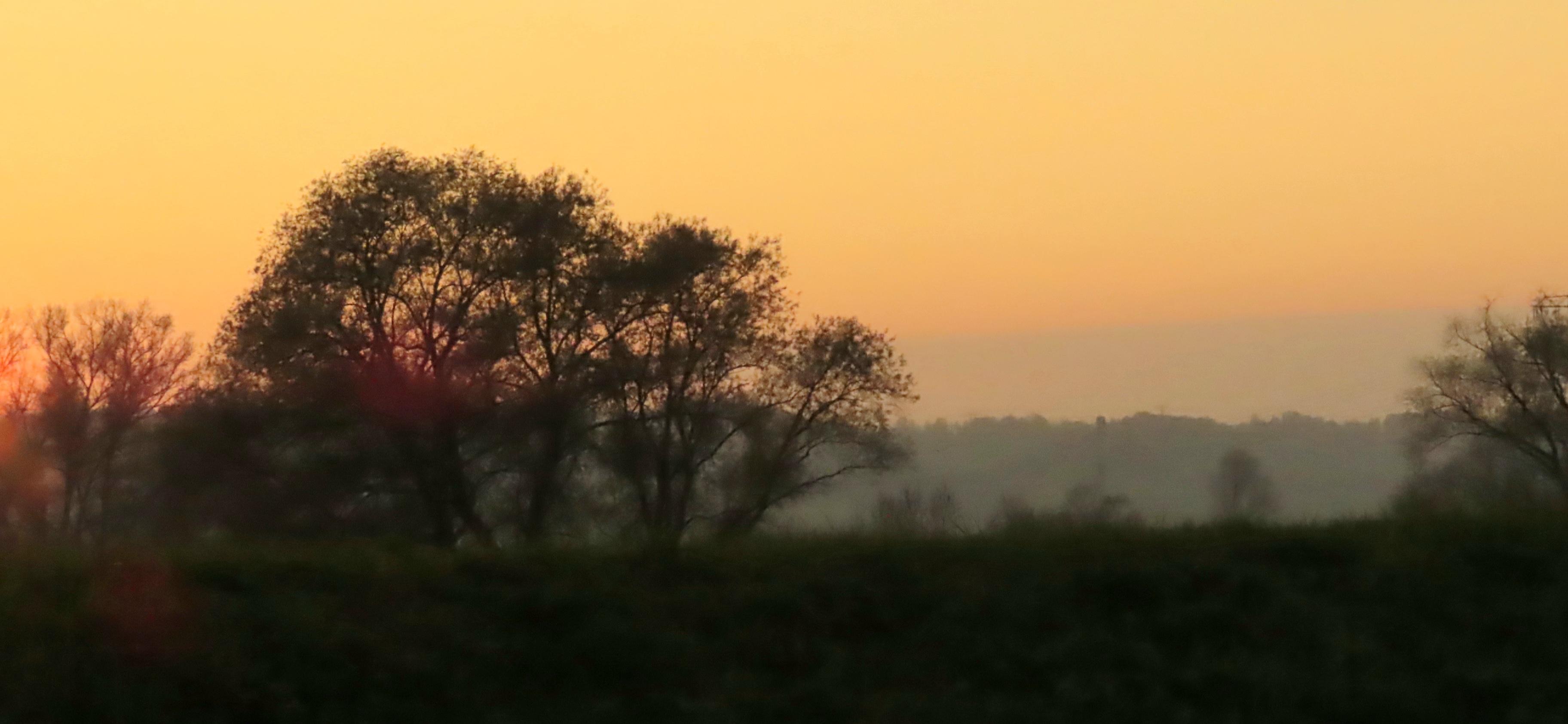 Dämmerung.
Der Himmel ist leicht orangefarben.
Kahle Bäume, durch die Sonnenlicht fällt.
Ganz weit entfernt Hügel, die im leichten Dunst liegen.