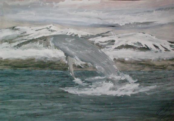 Gemälde: Springender Buckelwal vor einer teils schneebedeckten Felsküste.