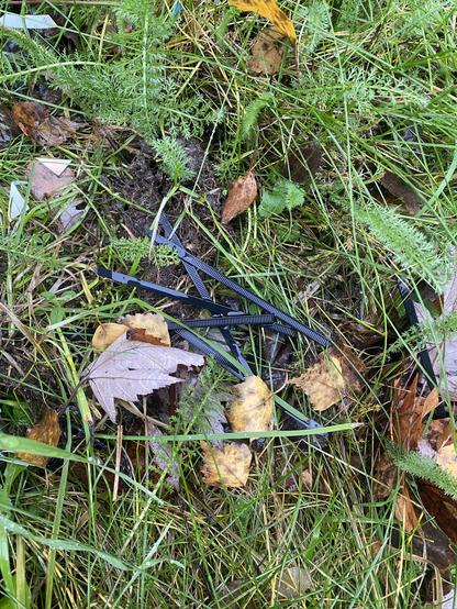 Vor dem Plakat im Gras liegen die abgeschnittenen Enden der Plastik-Kabelbinder. Nicht im Bild: Der Mülleimer, 5 Schritte weiter rechts.