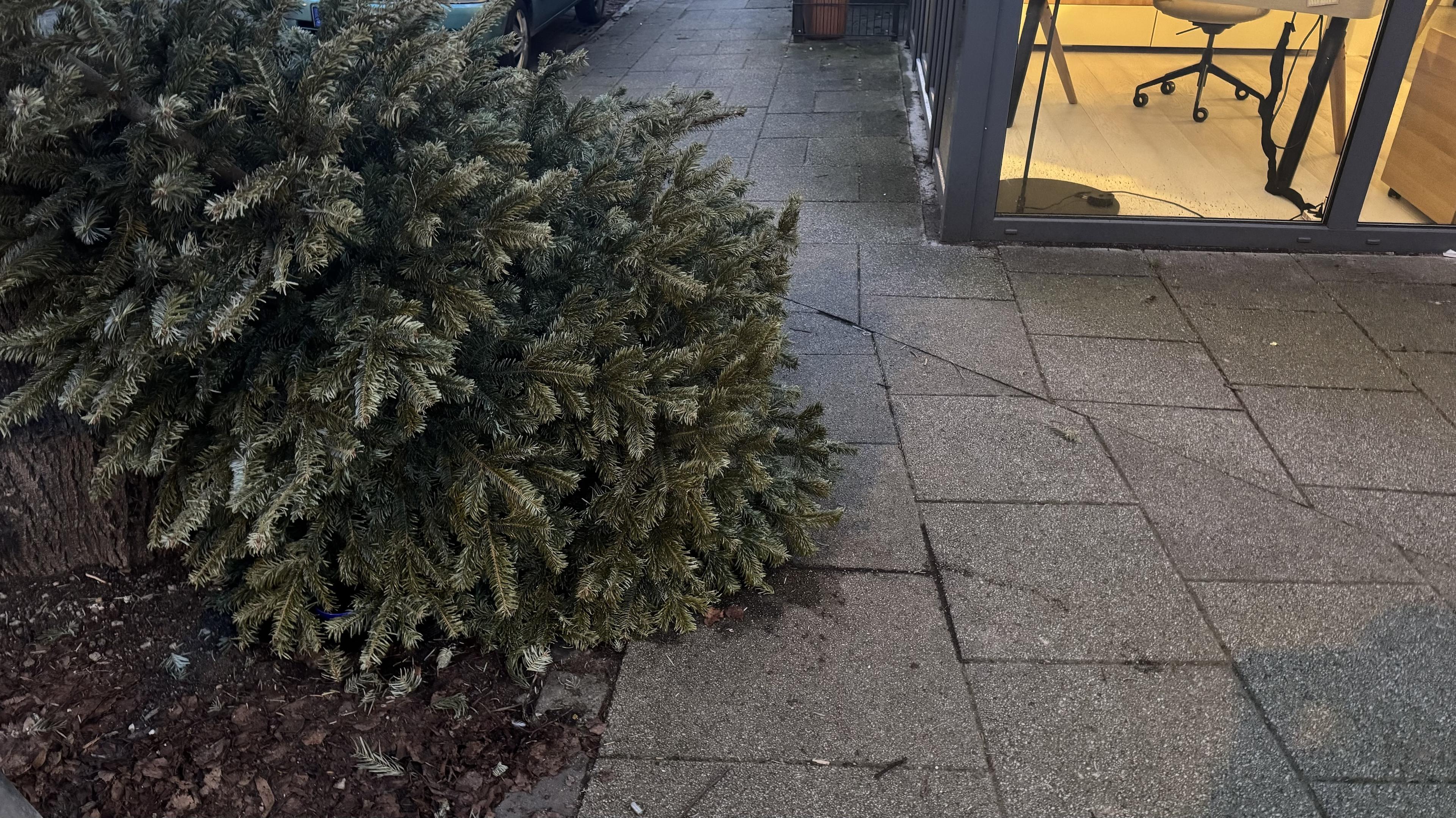 Ein großer Weihnachtsbaum an einer Straßenecke