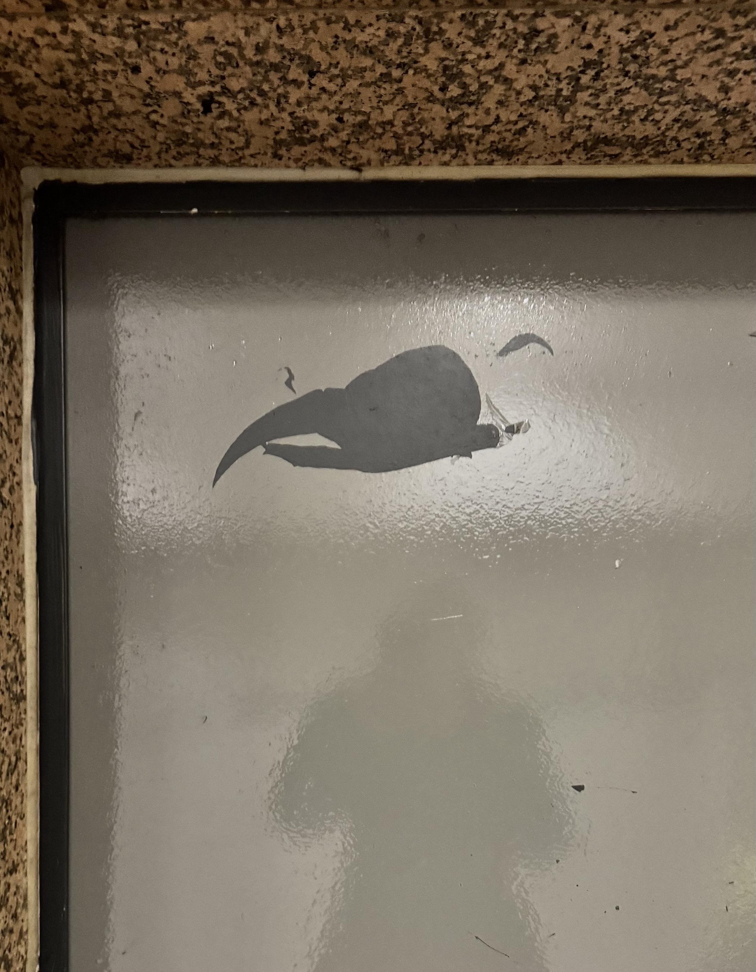 Eine schemenhafte Silhouette ist vor einer glatten Wand zu sehen, im Hintergrund eine strukturierte Wand. Ein Fleck an der Wand wirkt abstrakt und ähnelt einem Tier oder einem Gegenstand.