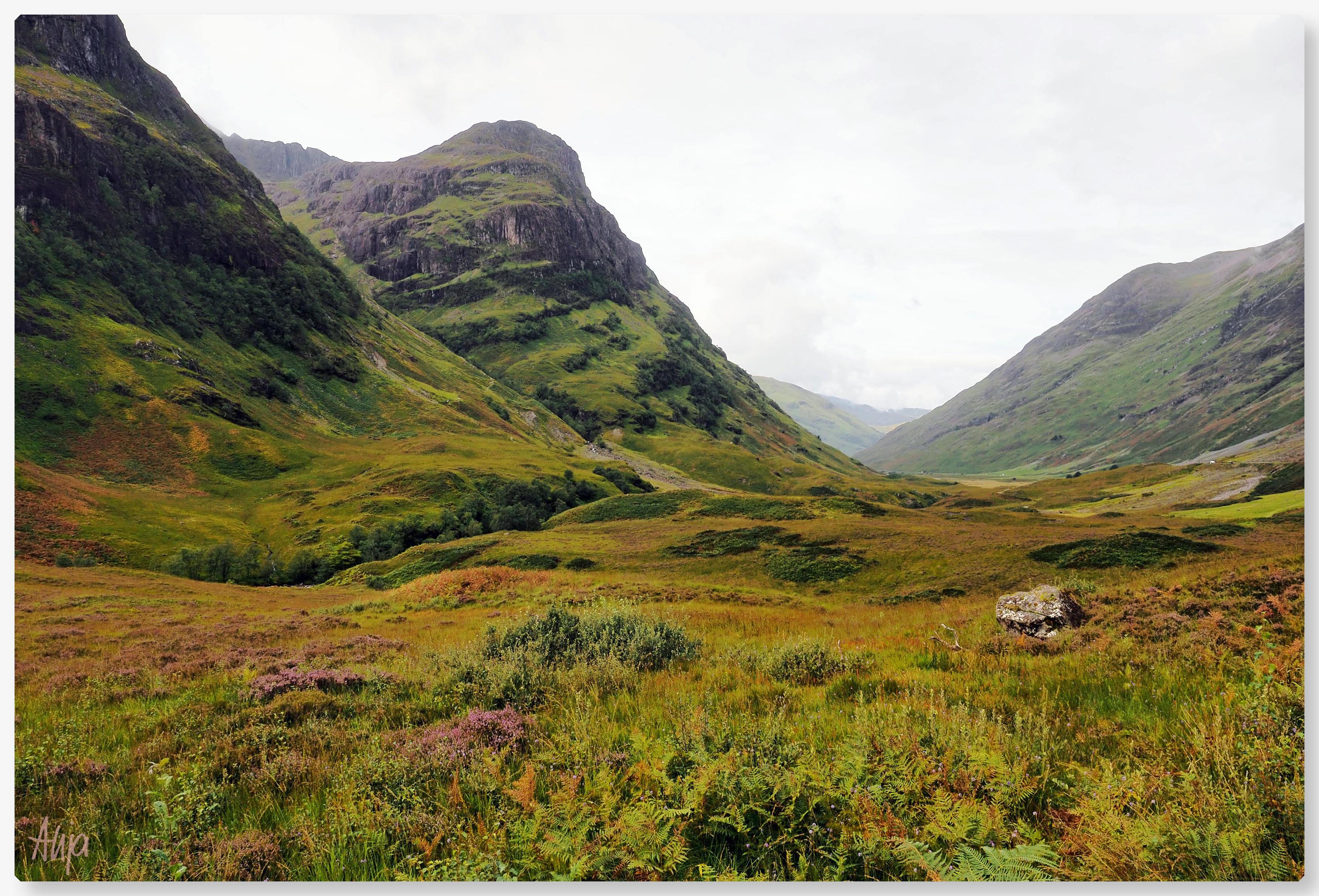 Ein Tal zwischen hohen Bergen, grün bewachsen mit Gräsern, Heide und Farnen. Die Berge sind schroff, grau-grün, der Himmel dahinter grau. Rechts eine Straße zwischen den Bergen, mit winzig wirkenden weißen Autos, kaum zu erkennen. 

A valley between high mountains, covered in green grass, heather and ferns. The mountains are rugged, grey-green, the sky behind them grey. On the right, a road between the mountains, with tiny white cars, barely visible.
