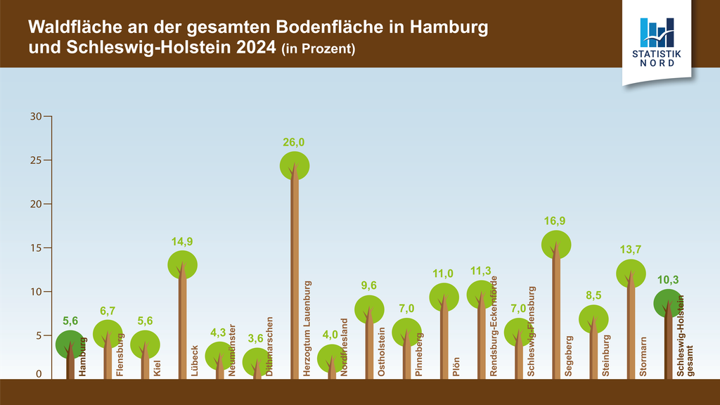 Grafik: Waldflรคche an der gesamten Bodenflรคche in Hamburg und Schleswig-Holstein 2024 in Prozent