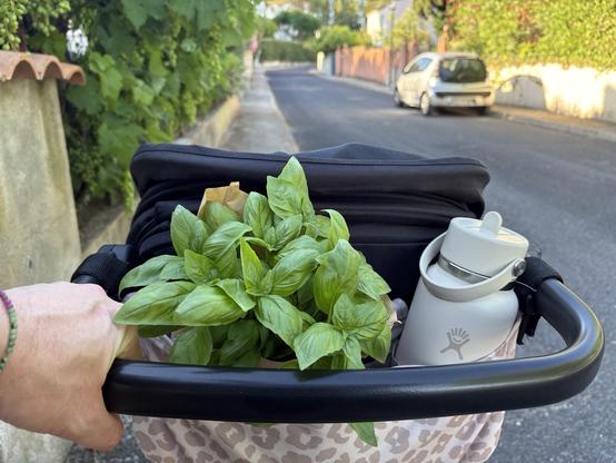 Kinderwagen auf einem schmalen Fußweg, der kaum breiter als der Wagen ist. Links vom Fußweg wächst Wein mit noch grünen Trauben über eine Mauer, Reste ist ein Auto am Straßenrand geparkt. Aus der Tasche am Kinderwagenlenker guckt eine große Wasserflasche und ein Busch basilikum daneben auch. Die Sonne wirft lange Schatten, das Licht ist warm.