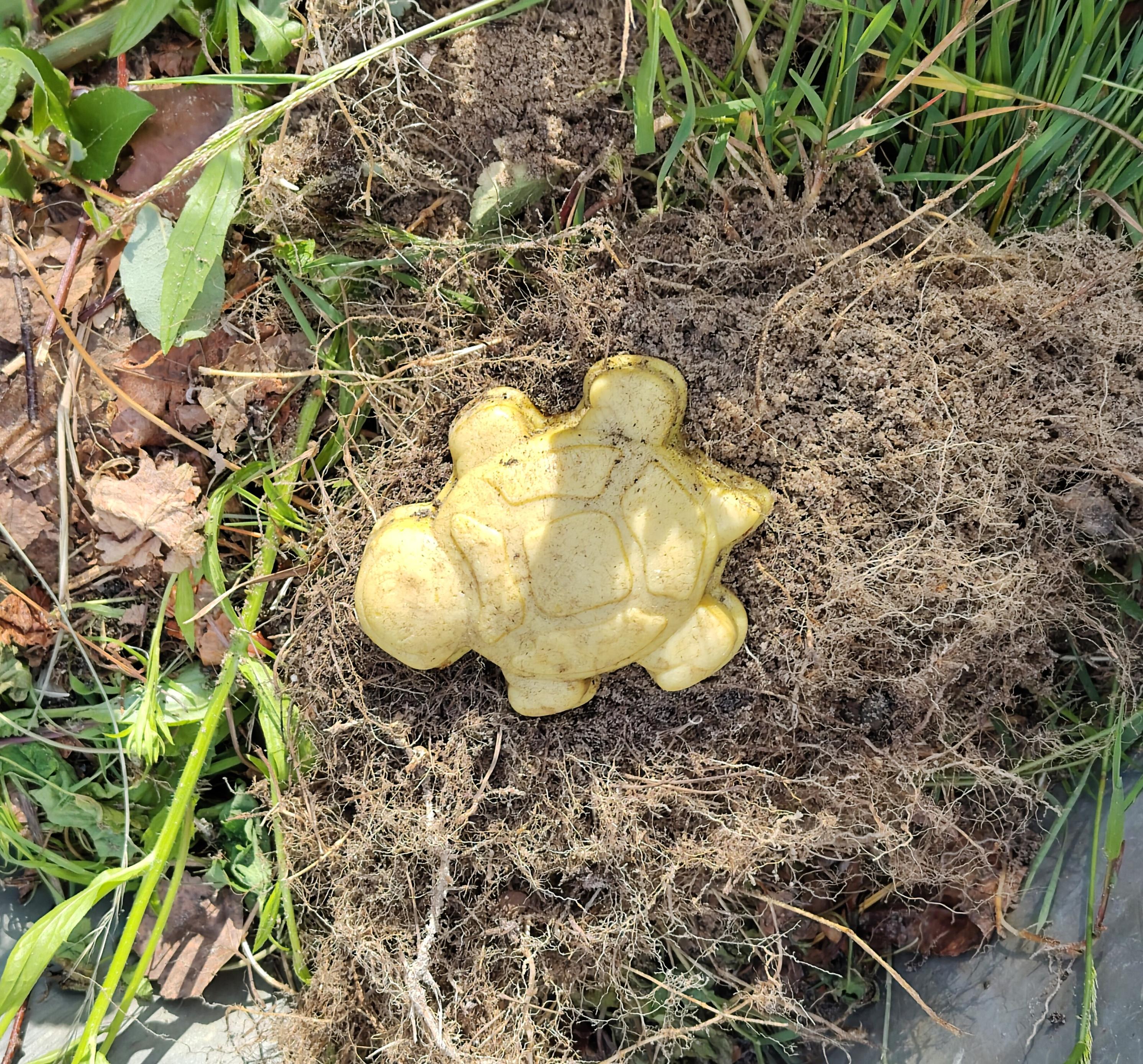 Die Grassode von unten, das Gelbe ist jetzt als Sandkastenform in Form einer Schildkröte zu erkennen