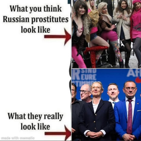 Posted media