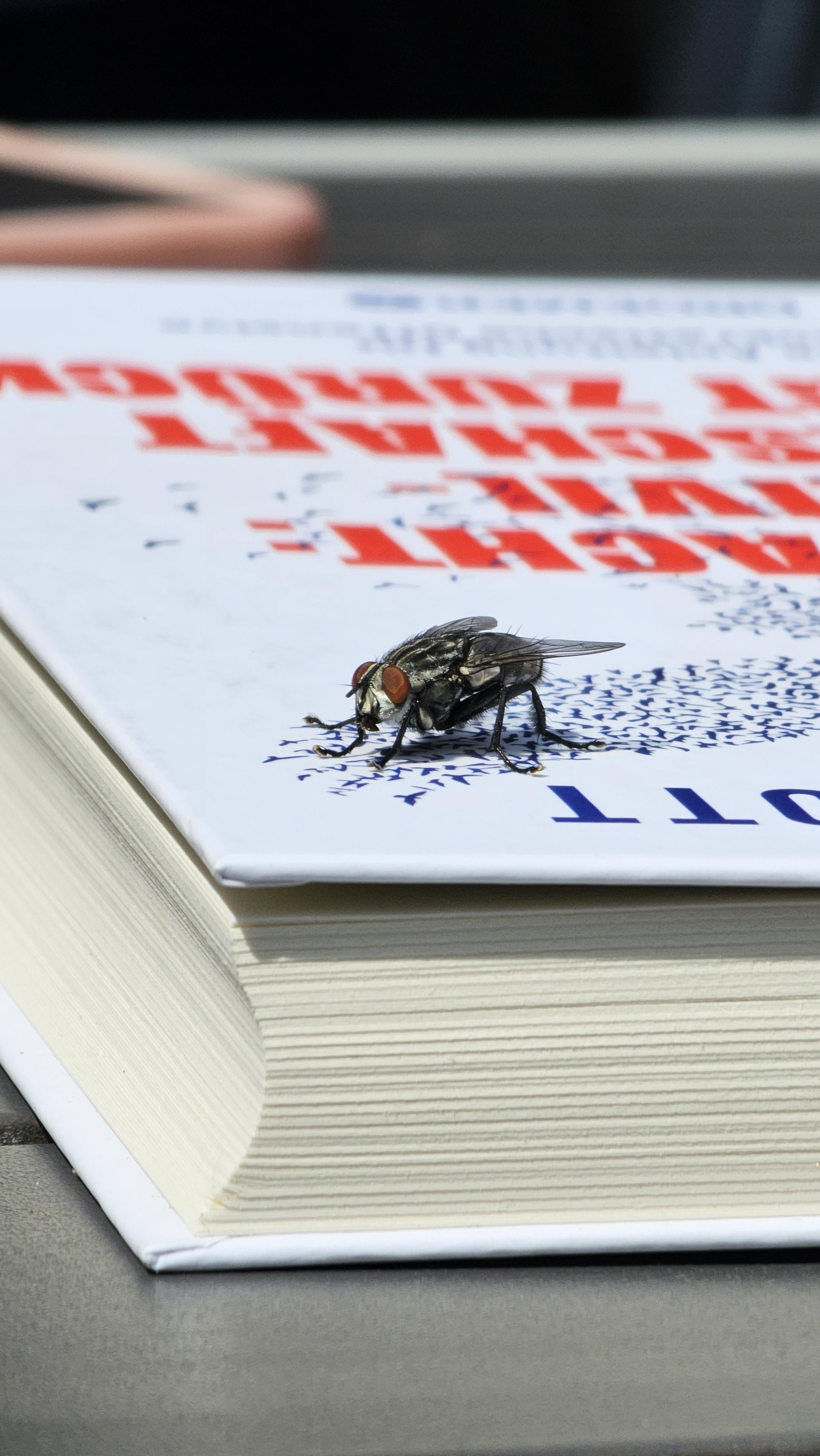 Eine große Fliege sitzt auf dem weißen Buch "Gegenmacht: Die Zivilgesellschaft schlägt zurück " von Arne Semsrott.
