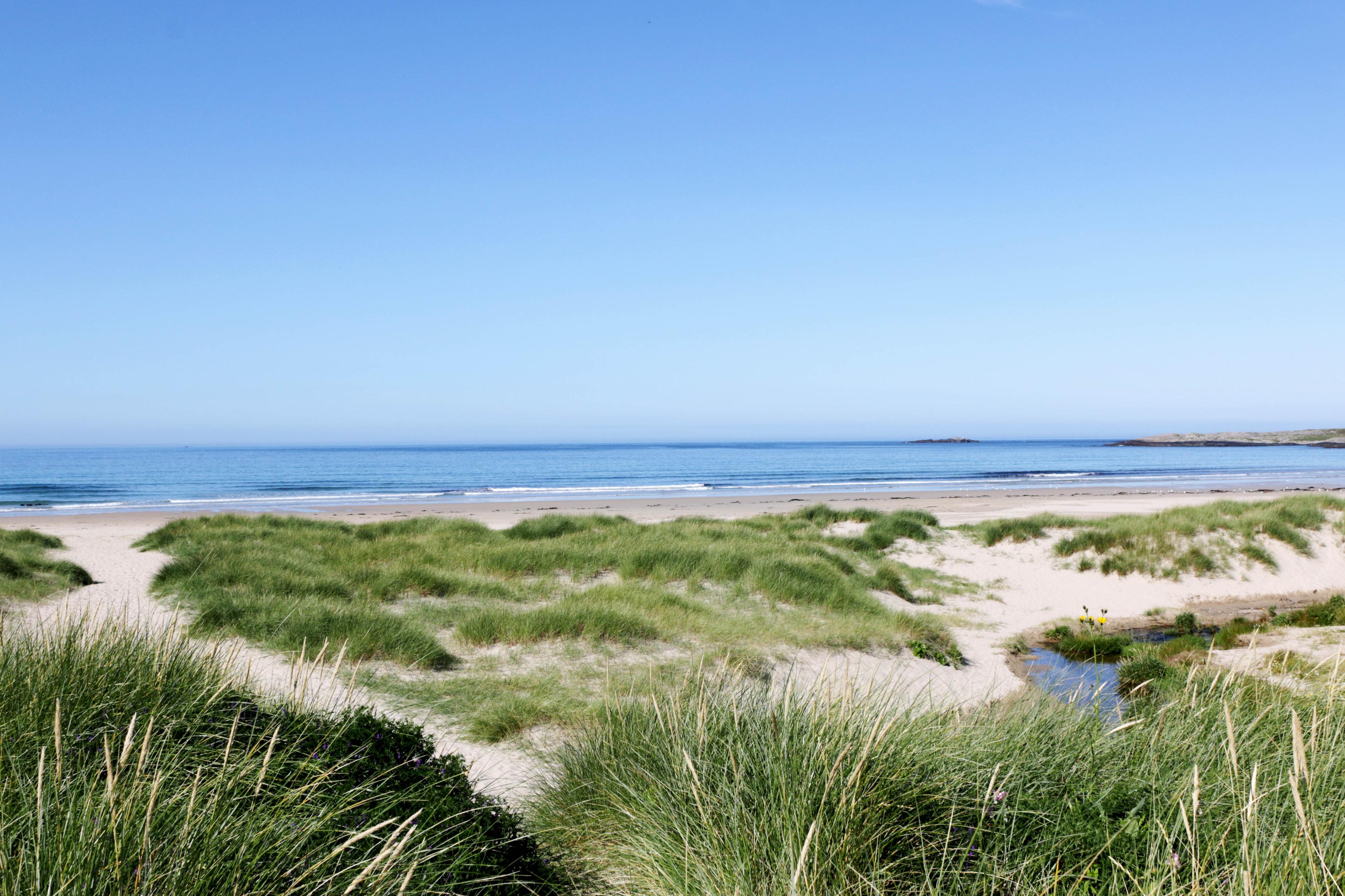 Ein wolkenloser hellblauer Himmel, darunter das Meer, kleine Wellen mit weißen Schaumkronen schlagen an den Strand mit weißem Sand. Fast die Hälfte des Bildes nehmen die sandigen Dünen ein: weißer Sand und grünes Gras bilden einen Kontrast zu dem tollen Blau im oberen Teil des Bildes.

A cloudless, pale blue sky, with the sea beneath it; small waves with white crests break on the white sandy beach. The sandy dunes take up almost half the picture: white sand and green grass contrast with the stunning blue in the upper part of the picture.