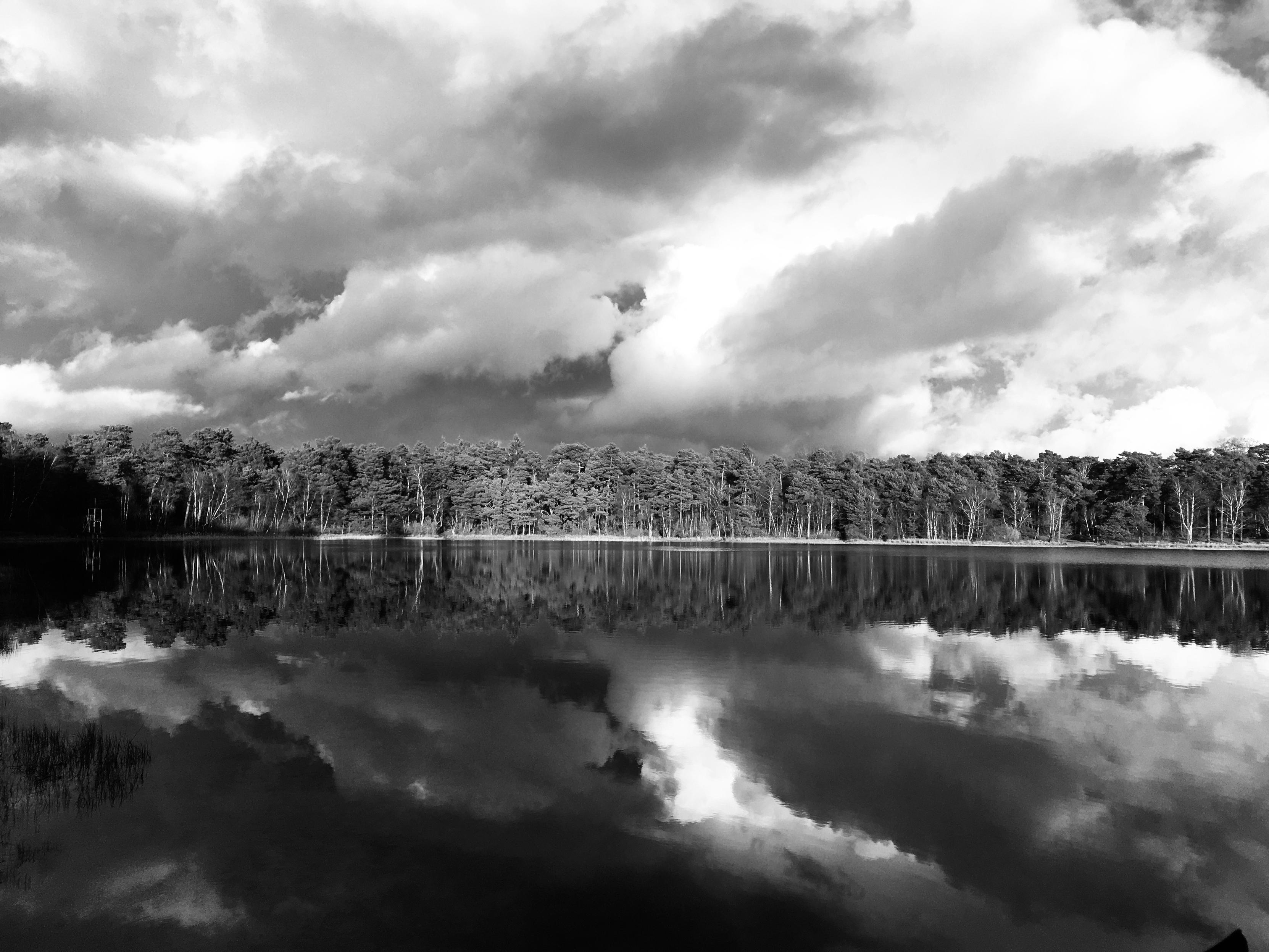 Dramatic sky mirrored in a lake. Sun illuminates conifers mirrored in the lake.