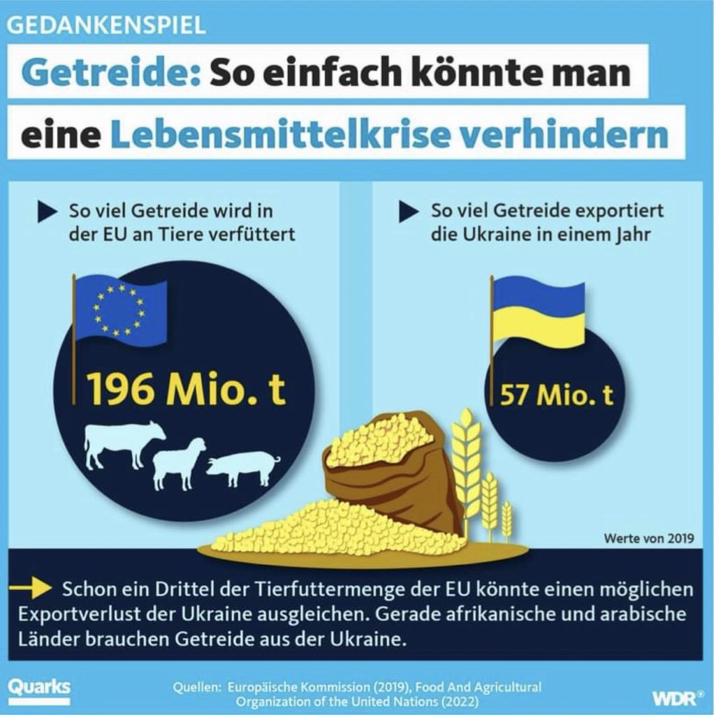 Getreide: So einfach könnte man eine Lebensmittelkrise verhindern • So viel Getreide wird in der EU an Tiere verfüttert • So viel Getreide exportiert die Ukraine in einem Jahr 196 Mio. t 57 Mio. t Werte von 2019 Schon ein Drittel der Tierfuttermenge der EU könnte einen möglichen Exportverlust der Ukraine ausgleichen. Gerade afrikanische und arabische Länder brauchen Getreide aus der Ukraine. Quarks Quellen: Europäische Kommission (2019), Food And Agricultural Organization of the United Nations (2022)