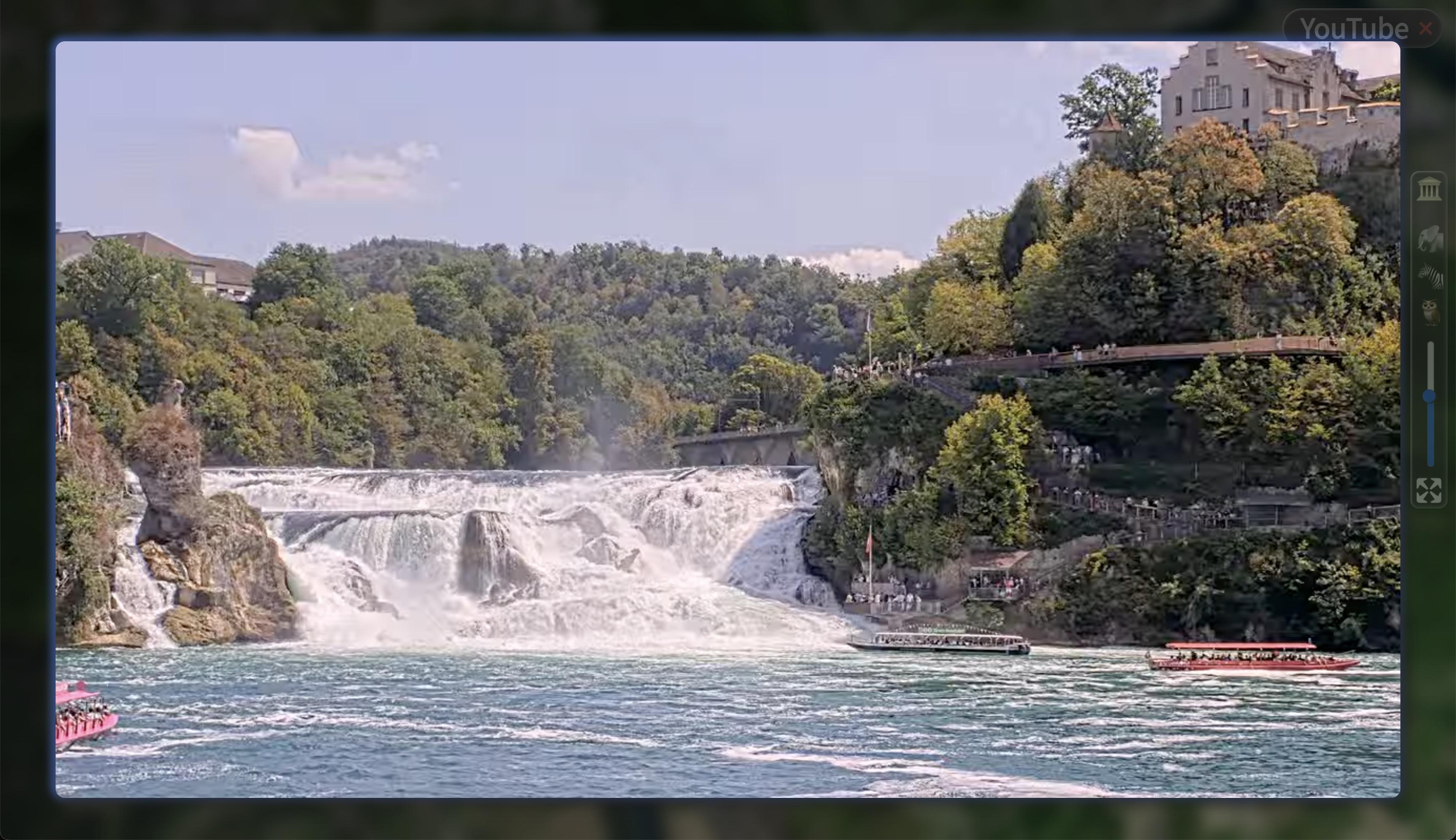 Rheinfall am 5.8.2026