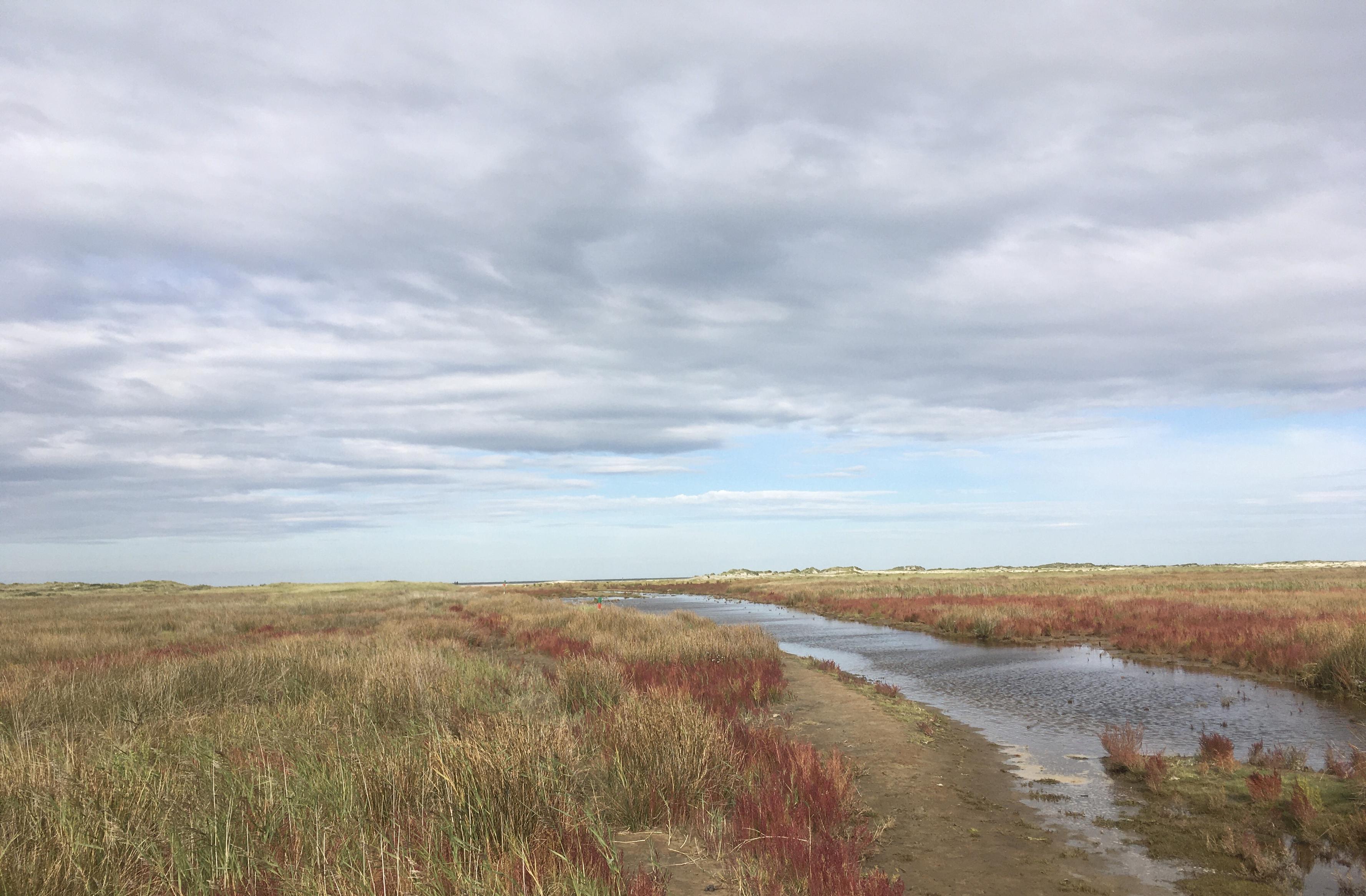 North sea island 'Spiekeroog'
Foto: Please read ALT of original post.