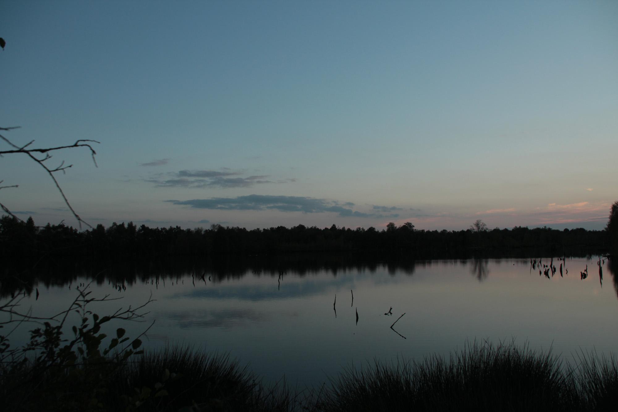 'Hohes Moor' near the town of Stade
Foto: Please read ALT of original post.