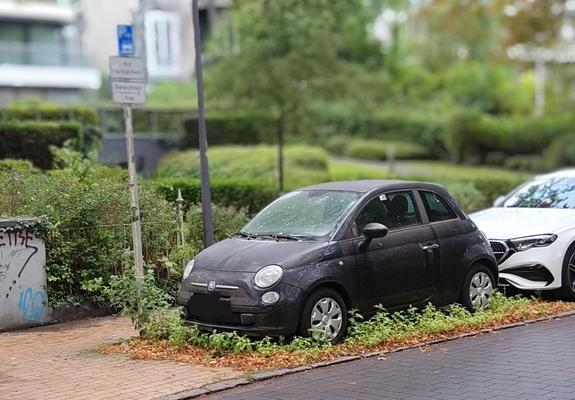 Ein Auto auf einem öffentlichen Anwohnerparkplatz. Rund herum wächst Grün, mindestens achshoch, teils bis auf Höhe der Motorhaube.