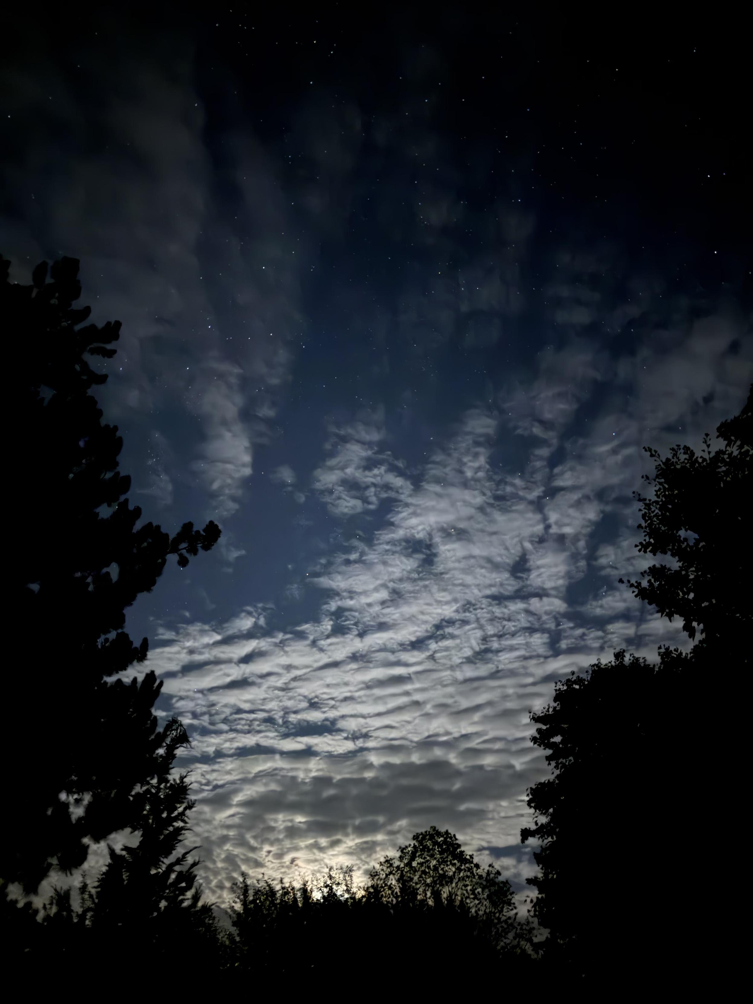 Ein Nachthimmel voller zarter Wolken und vereinzelter Sterne, eingerahmt von den Silhouetten der Bäume im Vordergrund.
