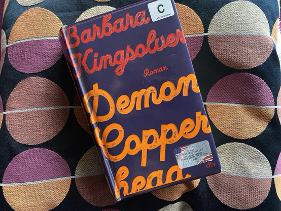 auf einem farblich passenden Kissen (schwarz, violett, orange) liegt das Buch Demon Copperhead der amerikanischen Autorin Barbara Kingsolver