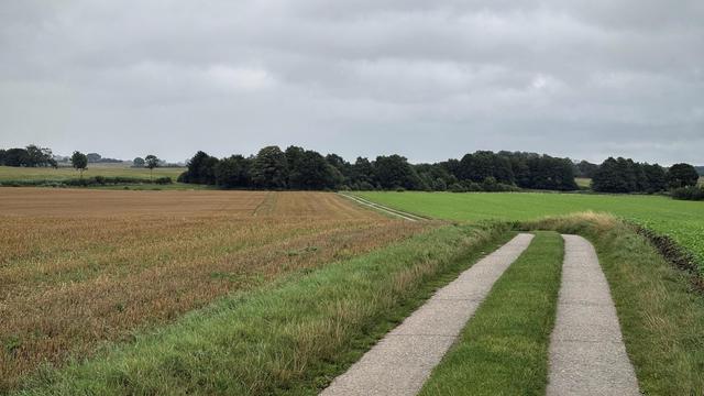 Leicht hügelige Agrarlandschaft mit einem geschwungen Weg hindurch