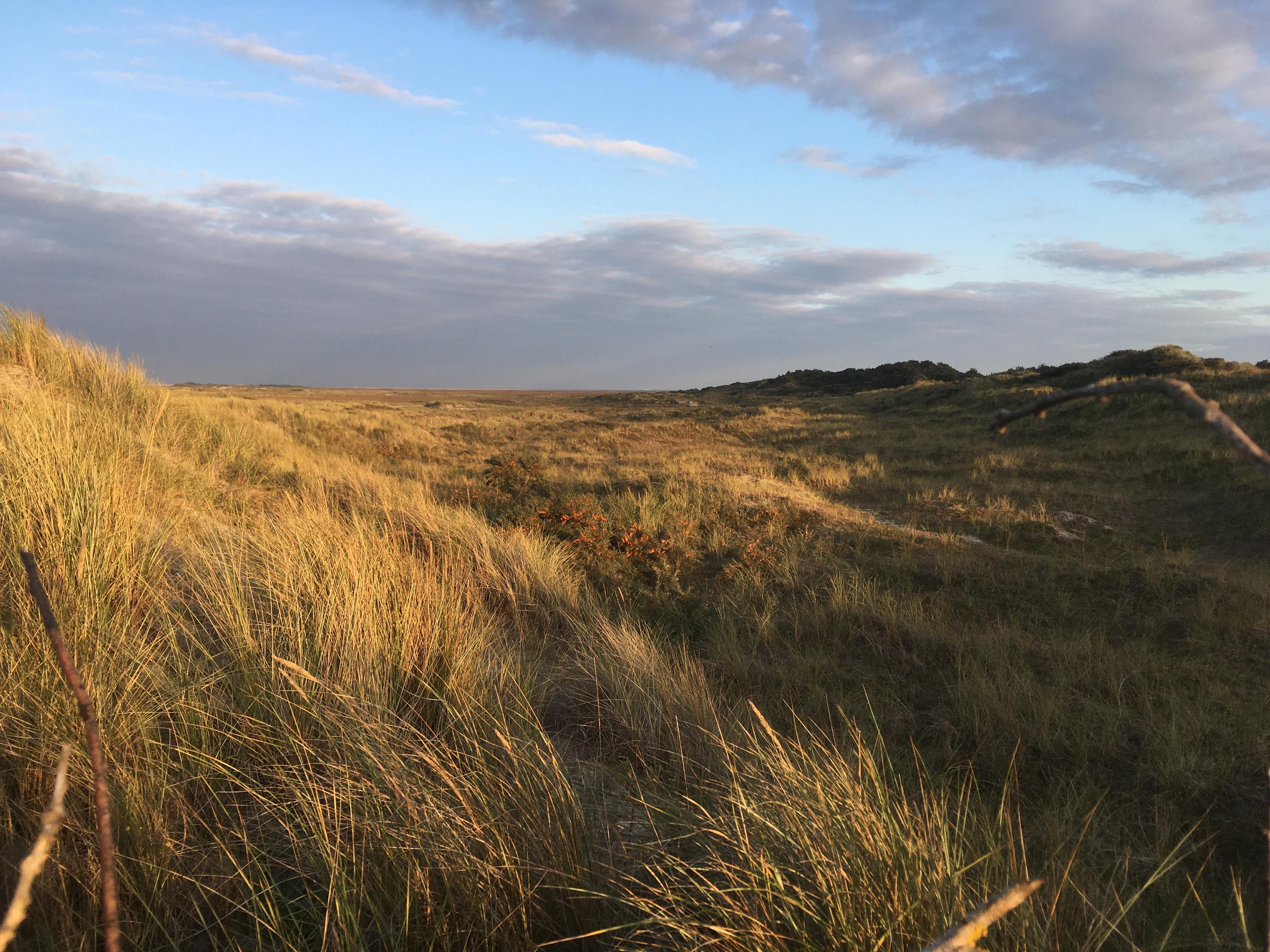Dunes in the evening sun. Blue sky behind clouds. Long shadow starting to crawl over the grass on the dunes.